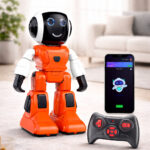 Rechargeable Robots Toy